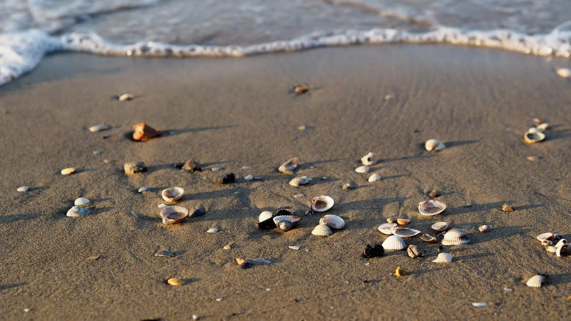 Apartment Lovely Flat Next To Lido Dei Pini - Beahost Rentals Bibione Italy